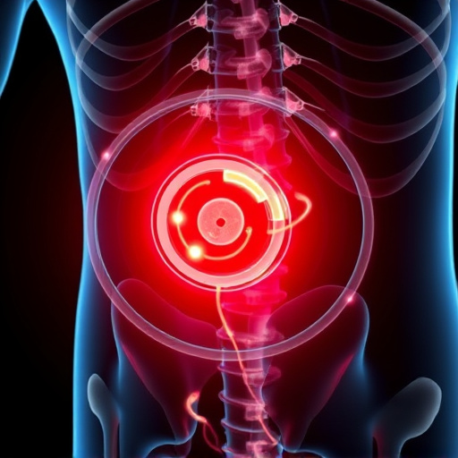 herniated-disc-640x480-6918021.jpeg