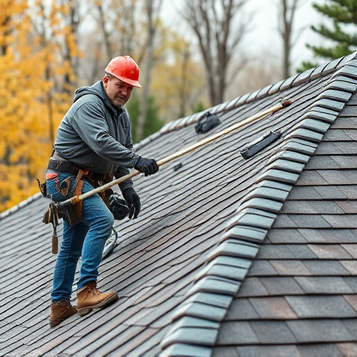 roofing pros