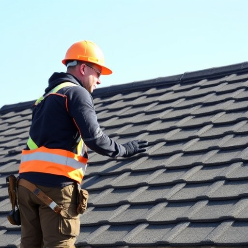 roofing specialist