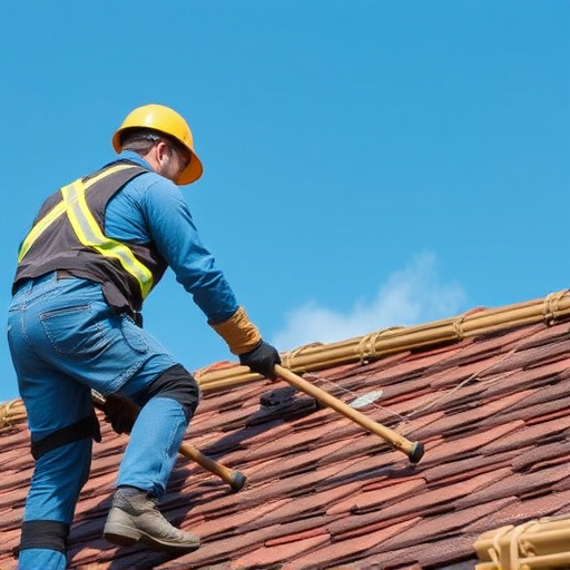 roofing specialist