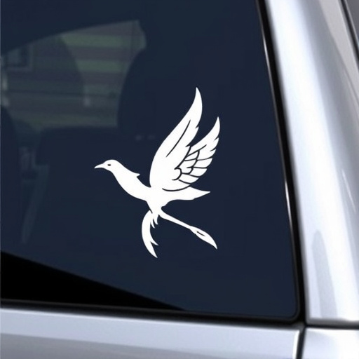 vinyl-decals-640x480-57216354.jpeg