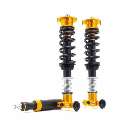 car coilover suspension