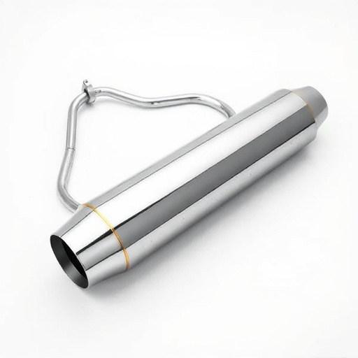 custom car muffler