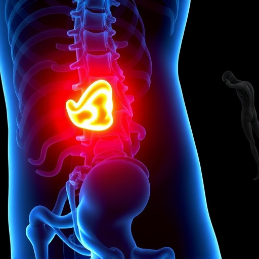herniated-disc-640x480-23136170.jpeg
