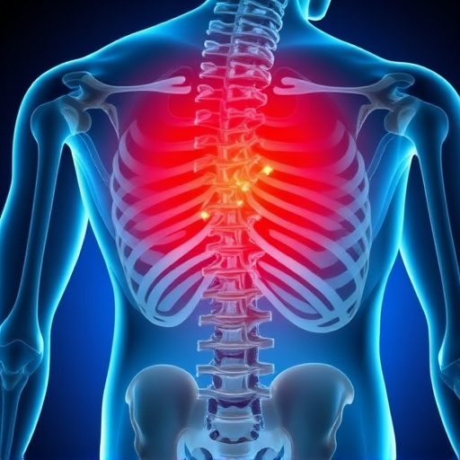 herniated-disc-640x480-41509809.jpeg