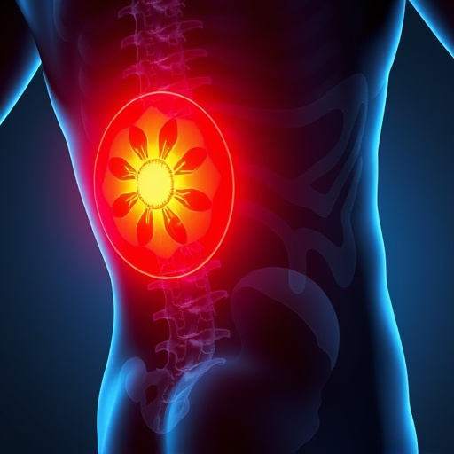 herniated disc
