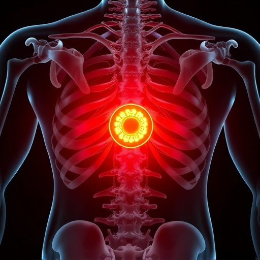 herniated-disc-640x480-80493876.jpeg