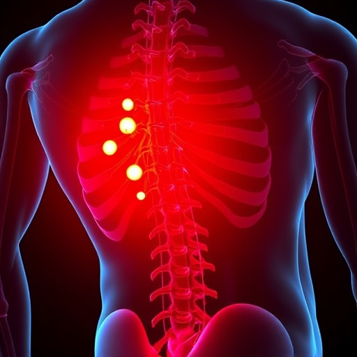 herniated-disc-640x480-8714991.jpeg