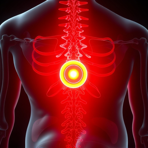 herniated disc