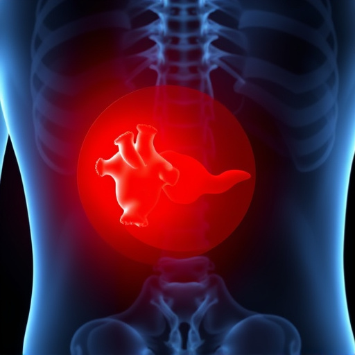 herniated-disc-640x480-92751959.jpeg