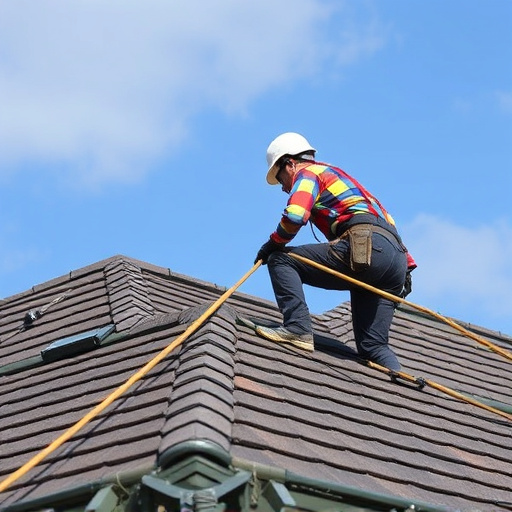 roof contractor