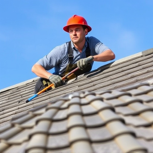 roof contractor