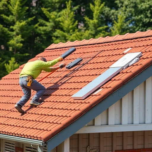 roof maintenance