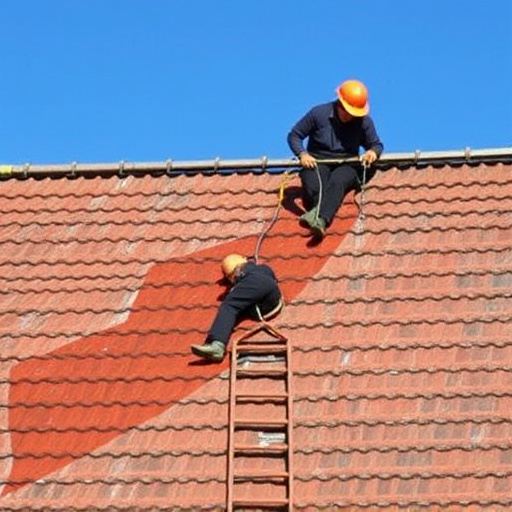 roof maintenance