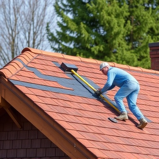 roof repair