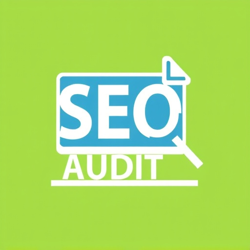 SEO audit