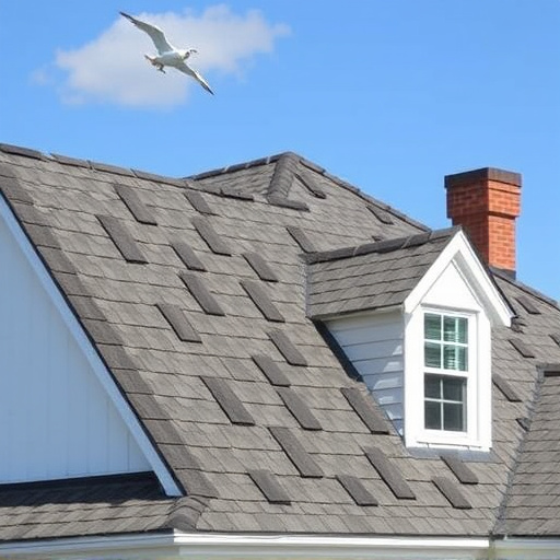 shingle roofing