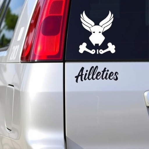 Bumper Protection Film: Withstands Harsh Weather, Ensures Longevity