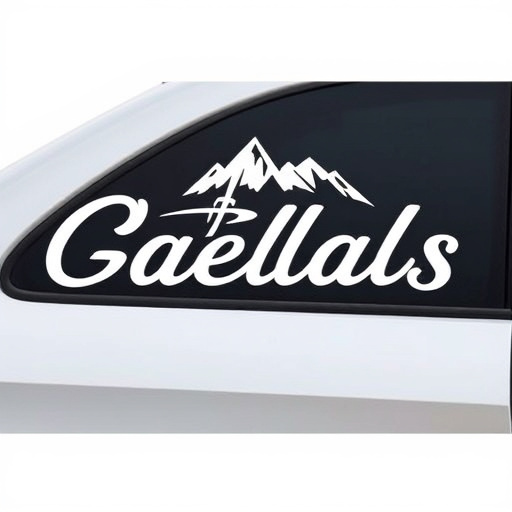 Vinyl decals