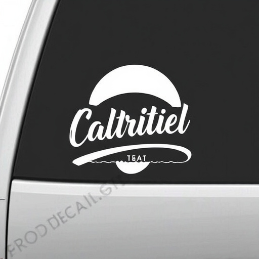 Vinyl decals