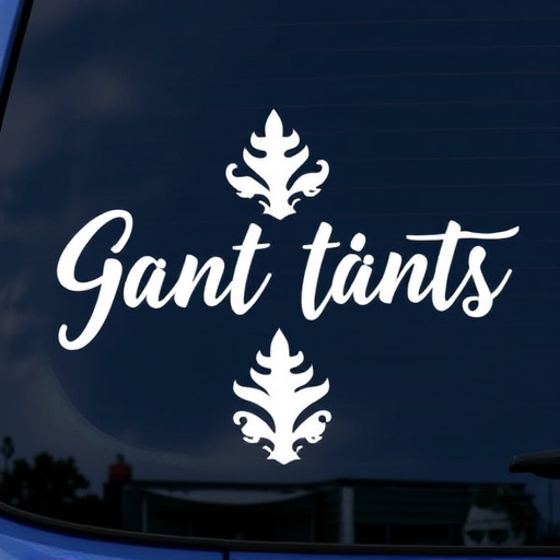 vinyl-decals-640x480-75969842.jpeg