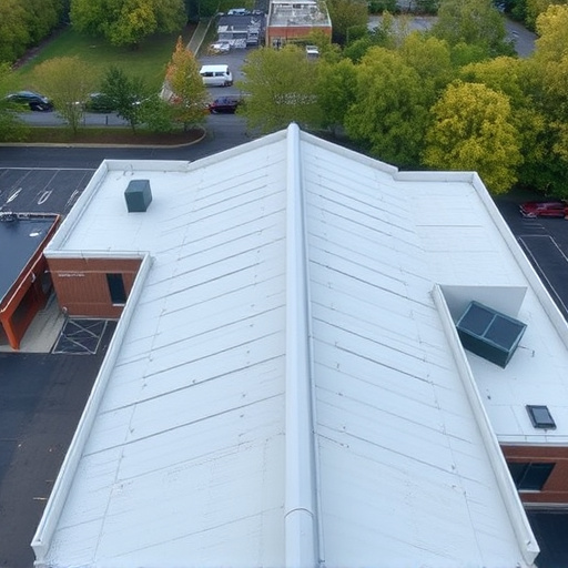 commercial roofing