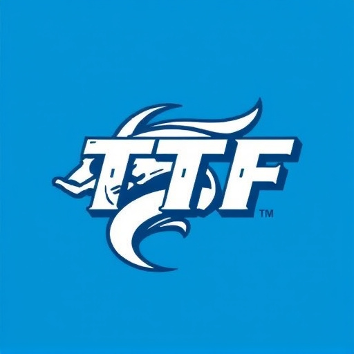 dtf-heat-transfers-640x480-30076946.jpeg