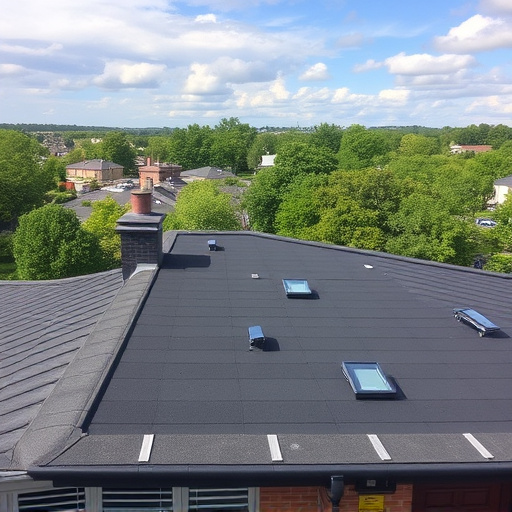 flat roofing