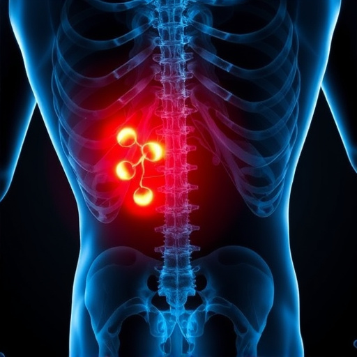 herniated-disc-640x480-45459552.jpeg