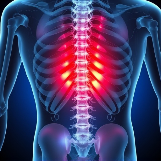 herniated-disc-640x480-66337301.jpeg