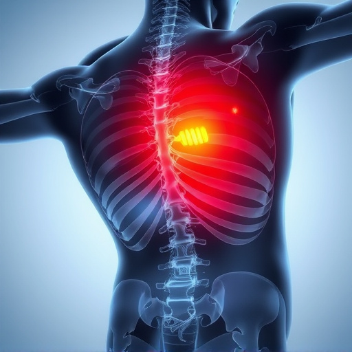 herniated disc