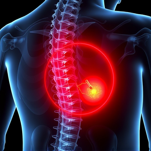 herniated disc
