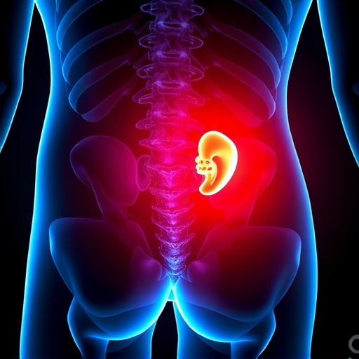 Real Patient Outcomes From Workplace Injury Chiropractor Programs