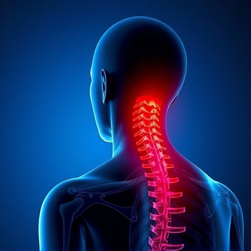 Unleashing Long-Term Mobility: Post Accident Rehabilitation Strategies