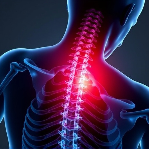 Navigating Auto Injury Assessment Timeline Milestones & Recovery