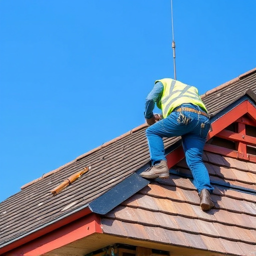 roof contractor