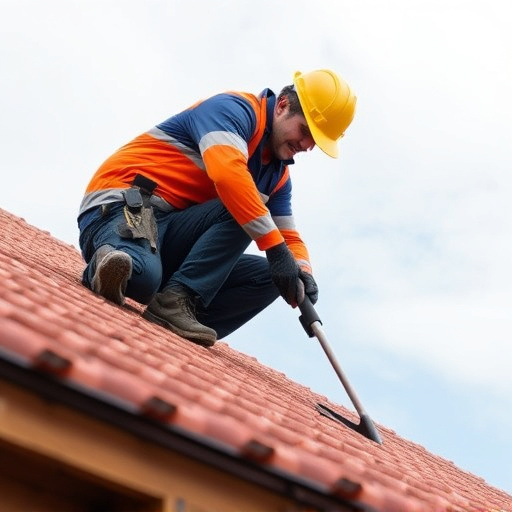 roof maintenance