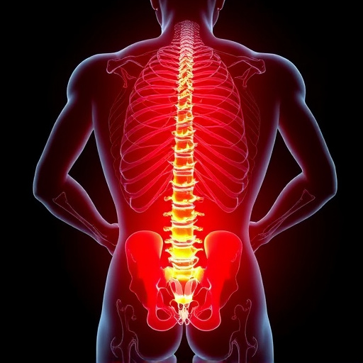 Track Motor Vehicle Accident Care Progress Effectively
