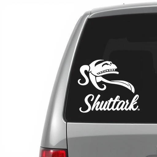 Protect Your Vehicle: Paint Coating for Longevity and Style