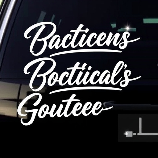 vinyl-decals-640x480-41276185.jpeg