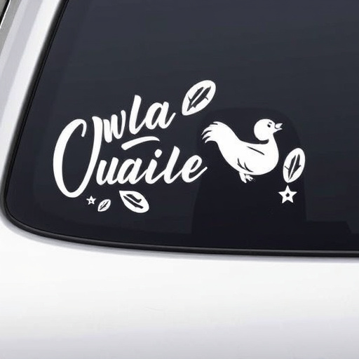 Vinyl decals