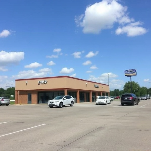 auto title loans mckinney tx