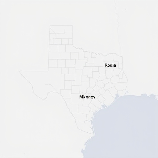 best rated car title loans mckinney tx area