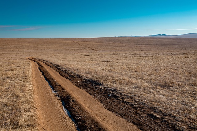 car title loans mckinney collin county