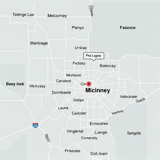 car title loans plano mckinney area