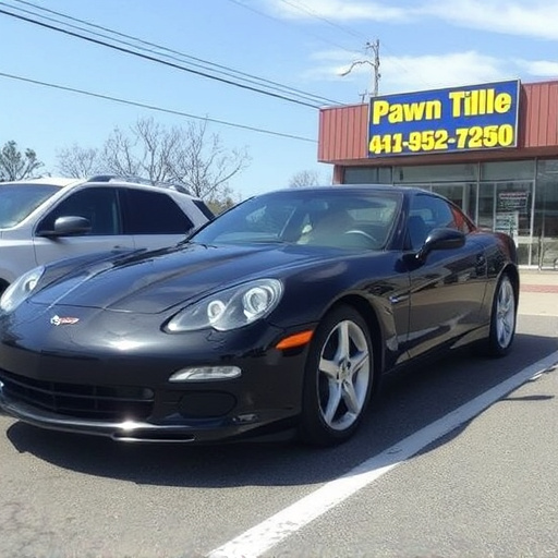 car title pawn mckinney texas