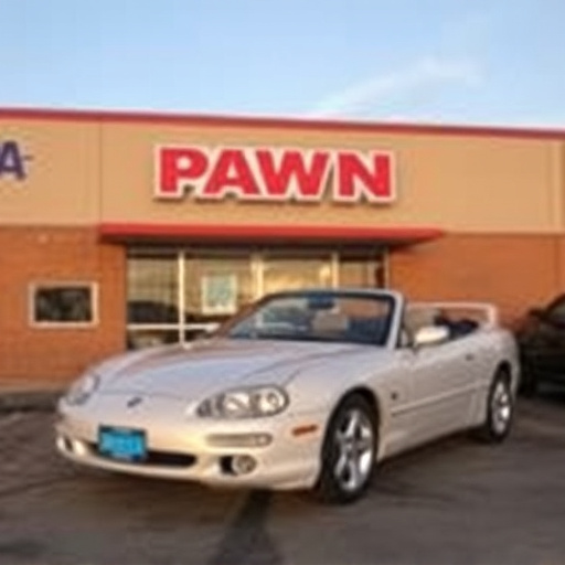 car title pawn mckinney texas