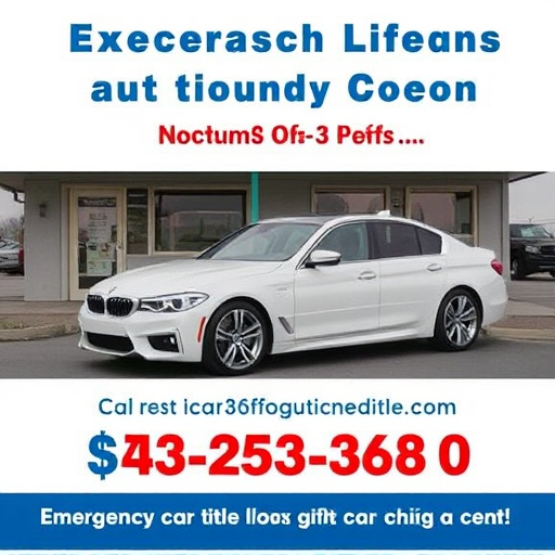 emergency car title loans service mckinney tx