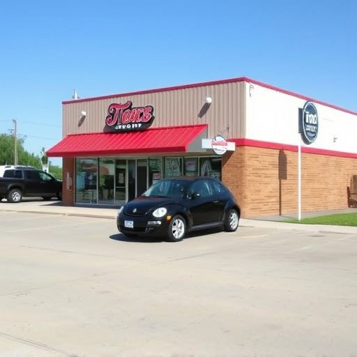 mckinney tx title loan companies