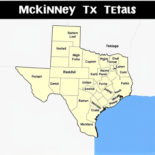 mckinney tx title loan companies